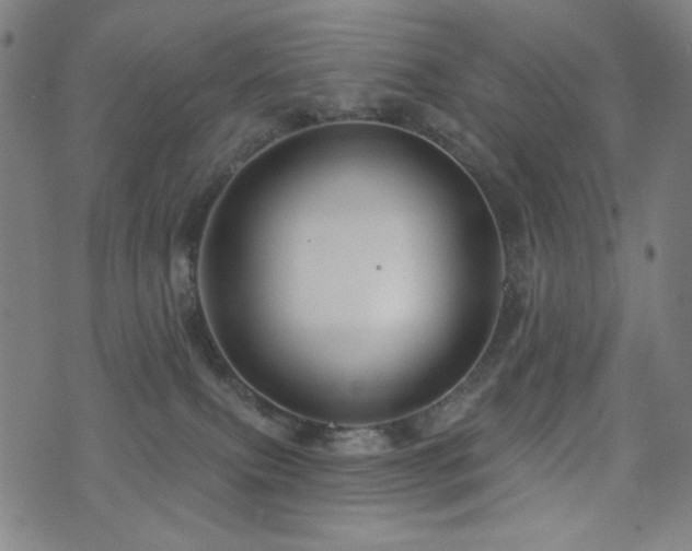 X0000072540087200607141238