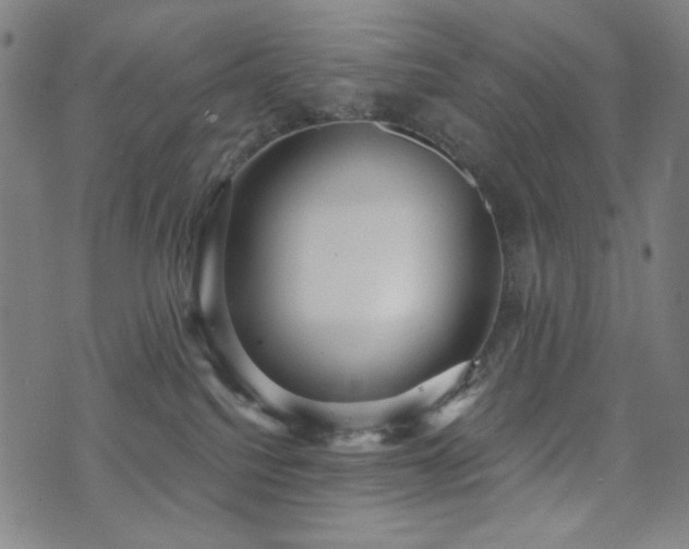X0000072540088200607141238