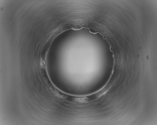 X0000072540089200607141238