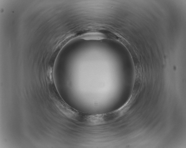 X0000072540094200607141238