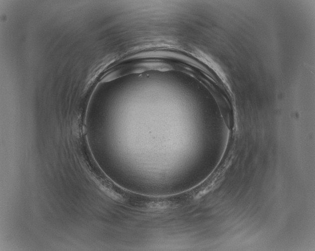 X0000072540105200607141237