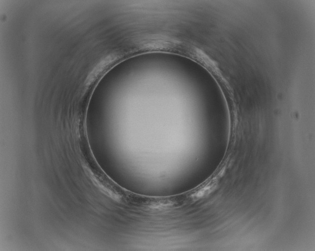X0000072540106200607141237