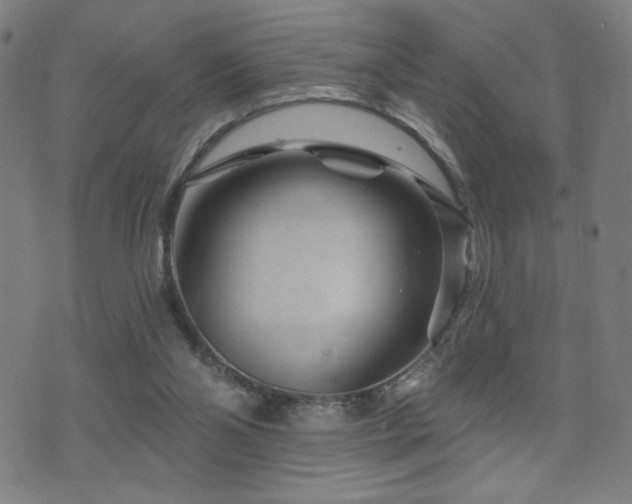 X0000072540110200607141237