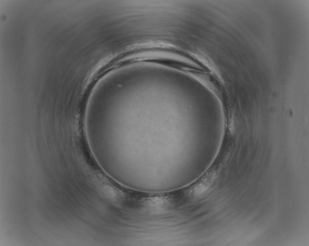 X0000072540111200607141237