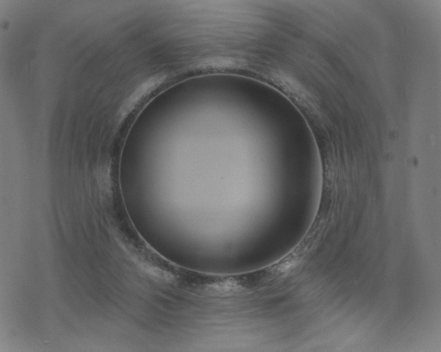 X0000072540112200607141237