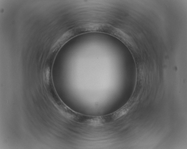X0000072540118200607141237