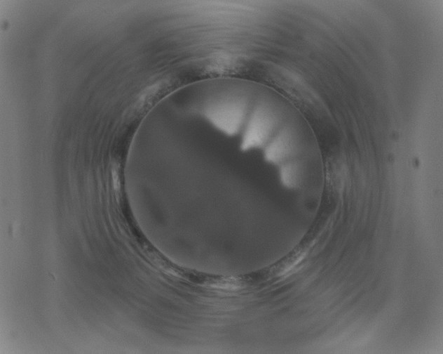 X0000072540127200607141237