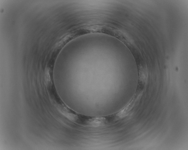 X0000072540128200607141237