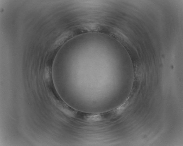 X0000072540132200607141237