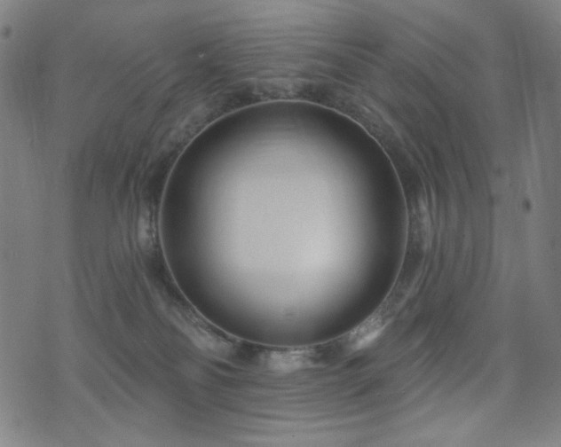 X0000072540134200607141237