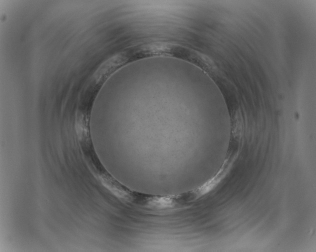 X0000072540140200607141237
