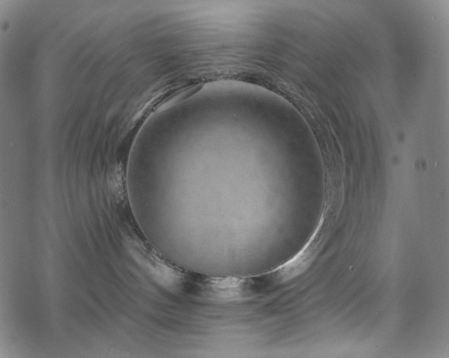 X0000072540144200607141237