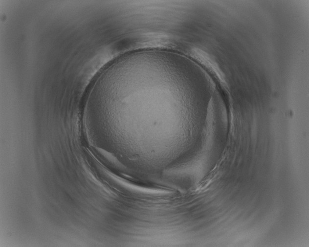 X0000072540156200607141236