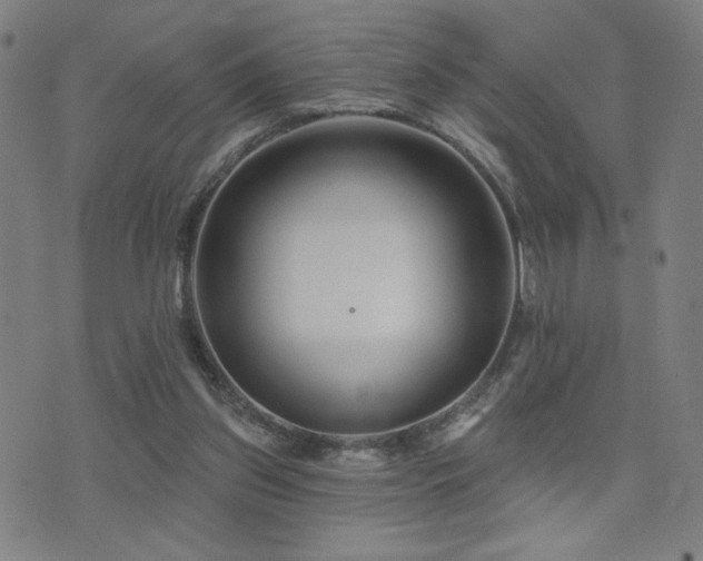 X0000072540157200607141236
