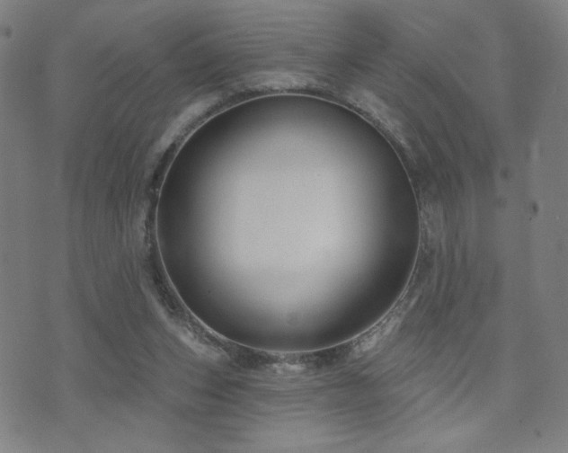 X0000072540159200607141236