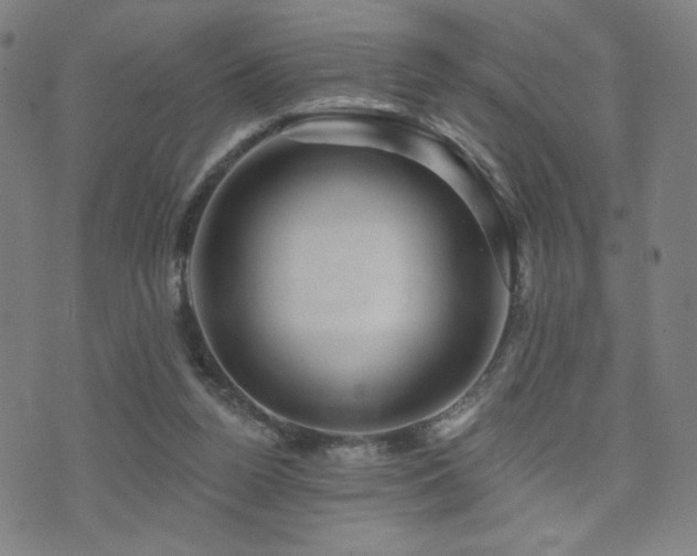 X0000072540160200607141236