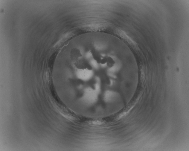 X0000072540165200607141236