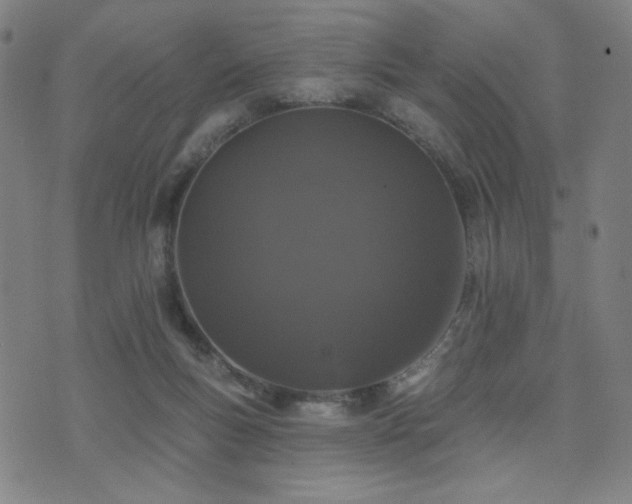 X0000072540167200607141236