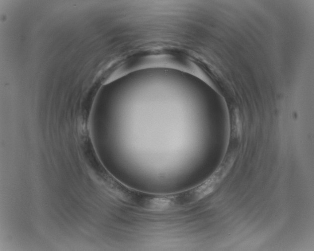 X0000072540176200607141236