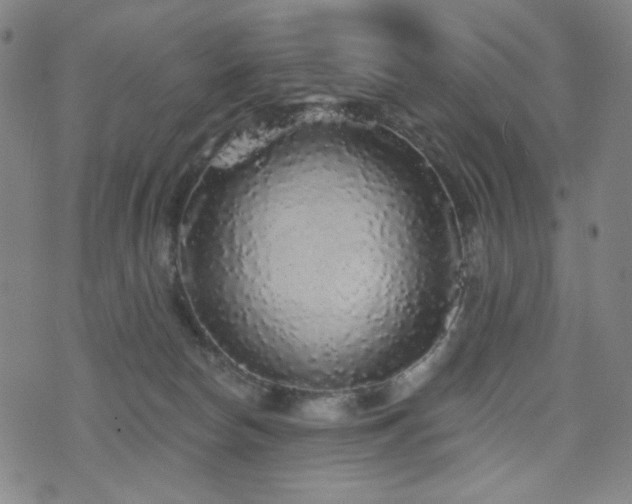 X0000072540178200607141236
