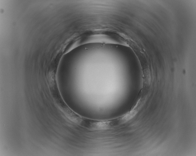 X0000072540184200607141236
