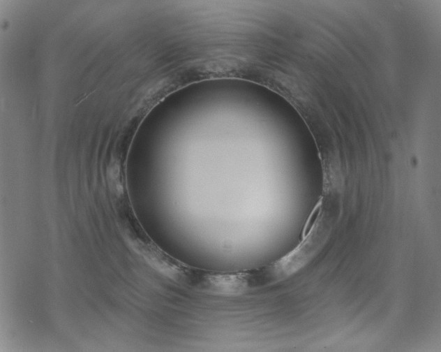 X0000072540187200607141237