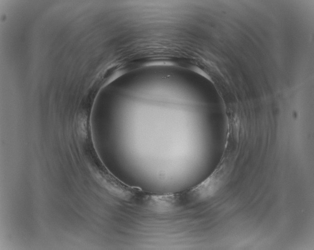 X0000072540188200607141237