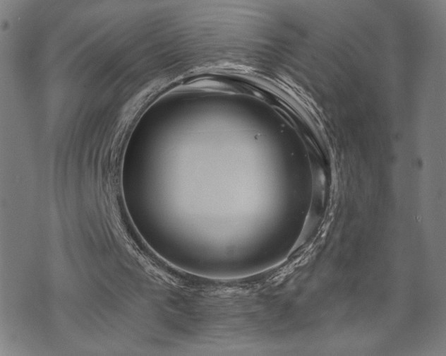 X0000072540193200607141236