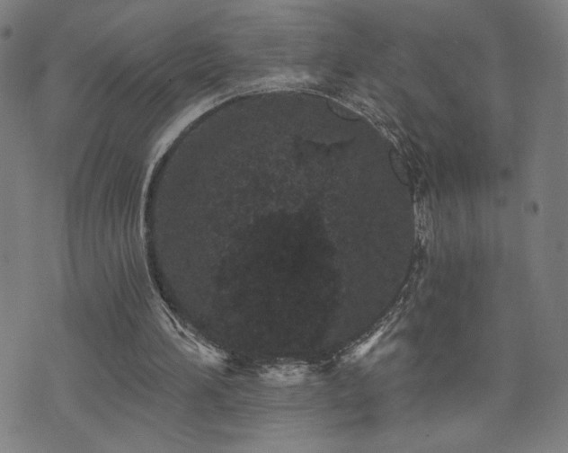 X0000072540196200607141236