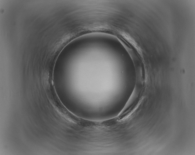 X0000072540201200607141236