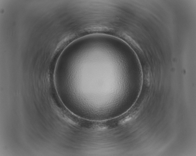 X0000072540207200607141236