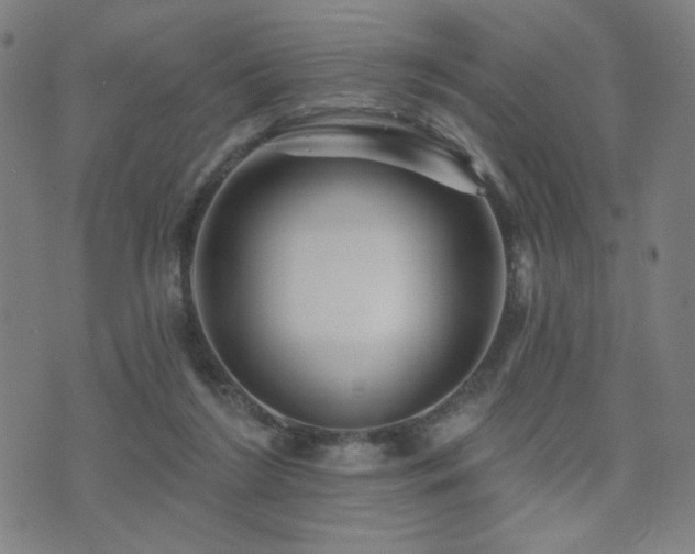 X0000072540212200607141236