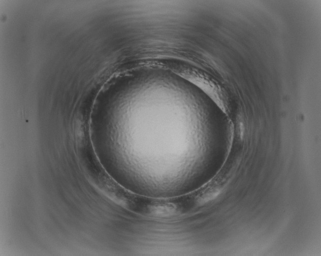 X0000072540215200607141235
