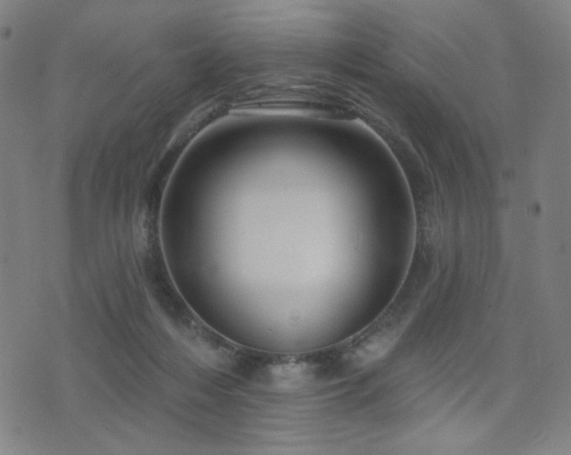 X0000072540216200607141235