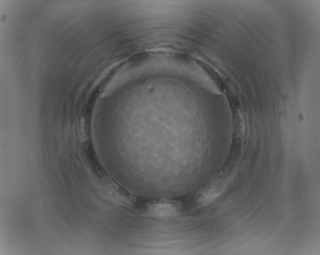 X0000072540224200607141235