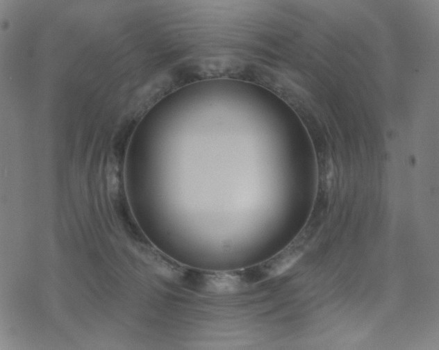 X0000072540226200607141235