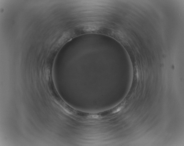 X0000072540227200607141235