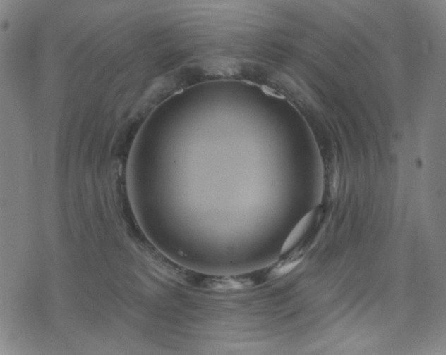 X0000072540229200607141235
