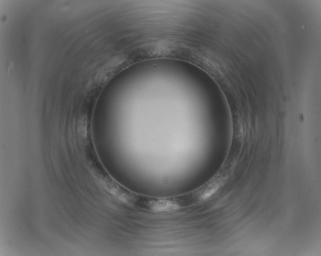 X0000072540230200607141235