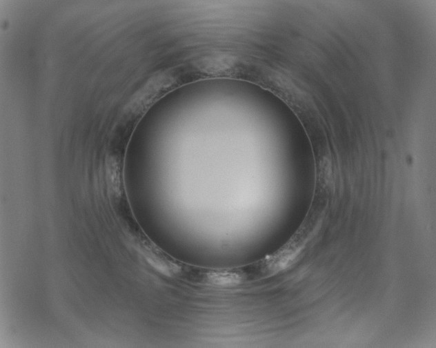 X0000072540234200607141235