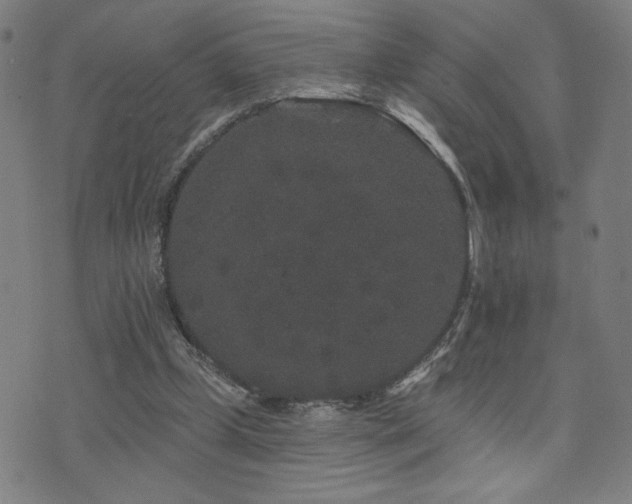 X0000072540249200607141234