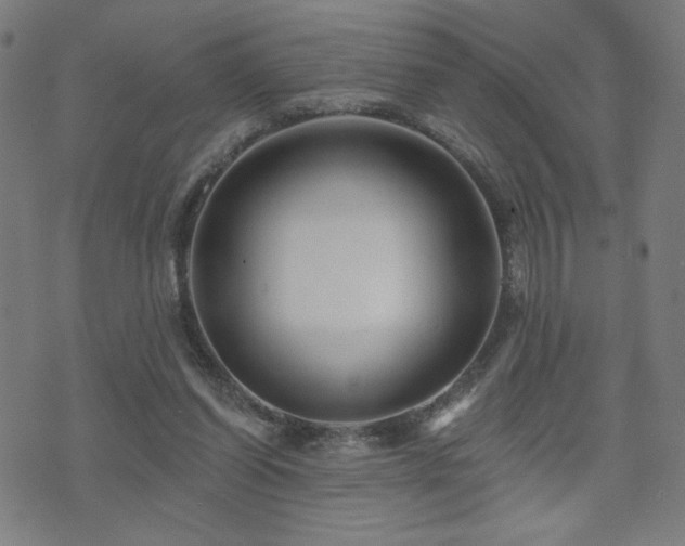 X0000072540254200607141235