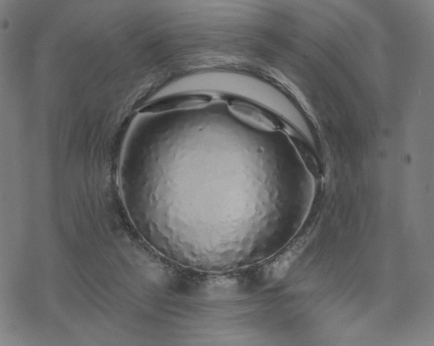 X0000072540257200607141235
