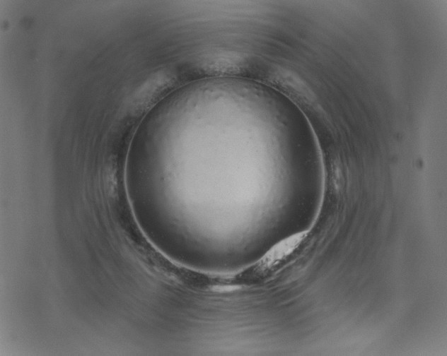 X0000072540259200607141235