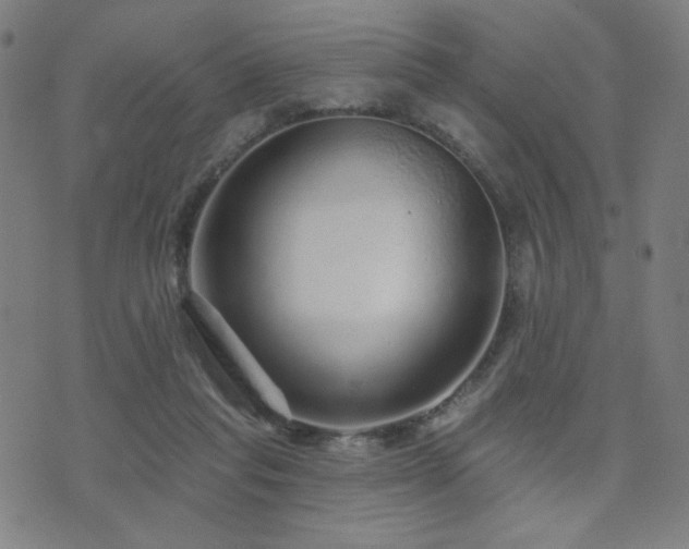 X0000072540261200607141235