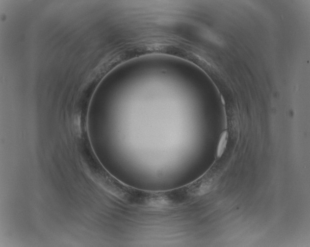 X0000072540262200607141235