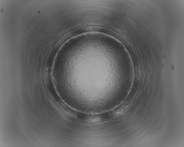 X0000072540263200607141235
