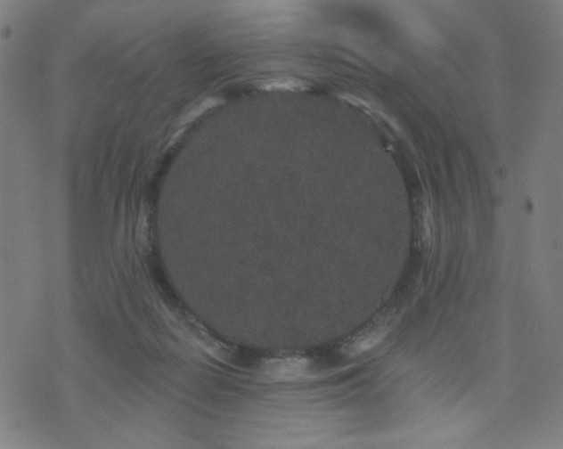 X0000072540266200607141235