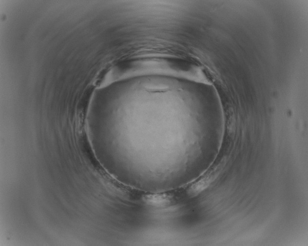 X0000072540273200607141235
