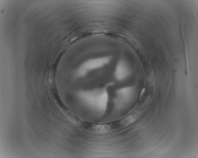 X0000072540277200607141235